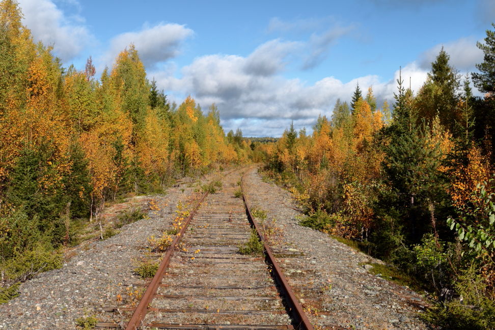 Le train, ou du moins ce qu′il en reste, entre Taivalkoski et Suomussalmi - 17 septembre 2018 - Canon EOS 6D 50 mm - f 11 1/125 sec. 100 ISO